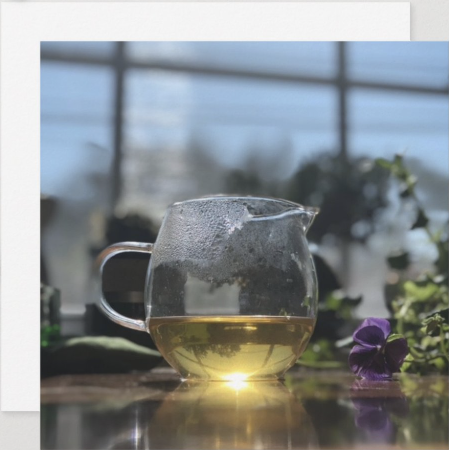 Sunlight making a powerful light in a glass fairness pitcher full of tea