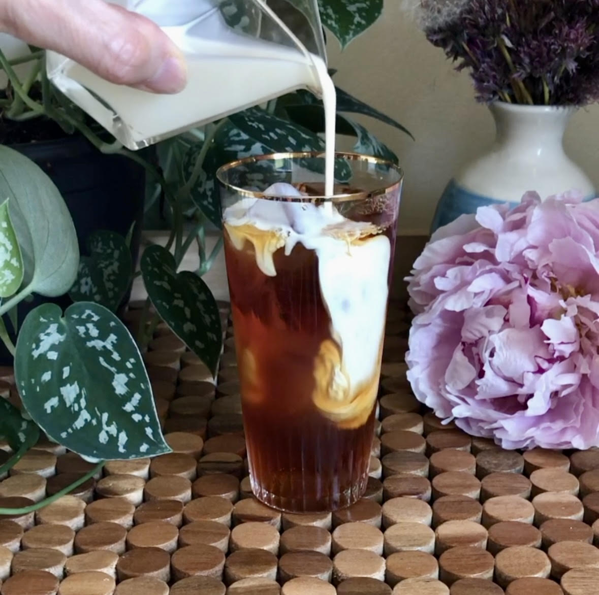 Pouring cream into a glass of dark amber iced tea (black). Nearby is a pothos plant and a pink peony.