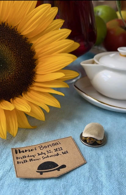 Image of sunflower, small clay turtle tea pet resting on a quarter, and a white porcelain gongfu teapot.