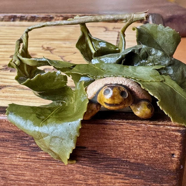 Small clay turtle tea pet sitting on the edge of a tea tray and peeking out for large oolong tea leaves.