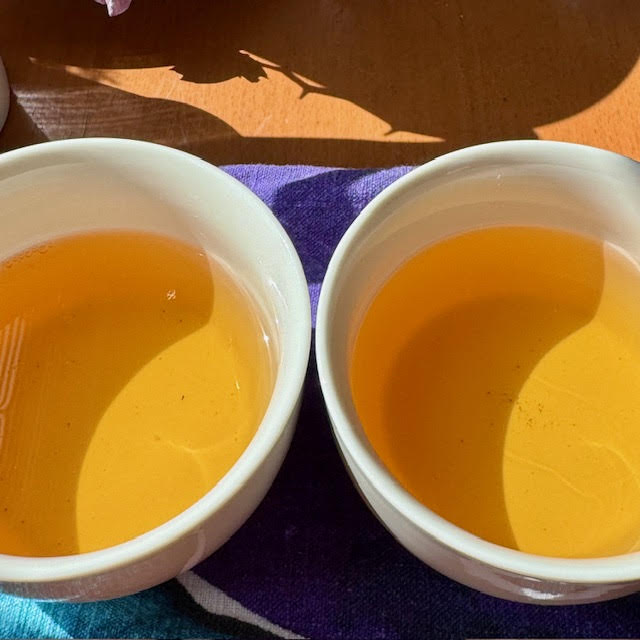 Two gold cups of Darjeeling First Flush tea in white porcelain tea tasting cup, Both were       made with  lower tea steeping temperature