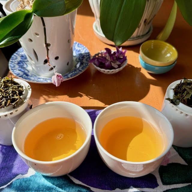 Two gold cups of Darjeeling First Flush tea in white porcelain tea tasting cups next to small bowls of tea leaves and some orchid plants