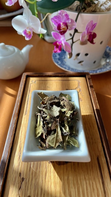 White tea leaves in a white rectangular porcelain dish with a blooming purple and white orchid in the background