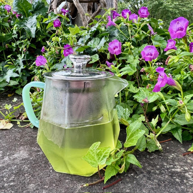 Hexagonal glass teapot with a jade green handle with yellow-green Yuzu Matcha Kukicha tea