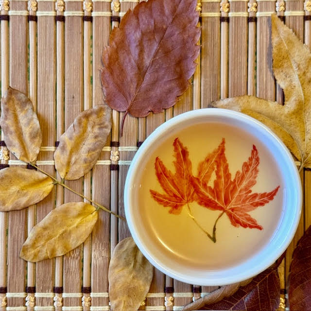 White porcelain teacup without handles and with two orange maple leaves inside on a bamboo mat next to autumn leaves