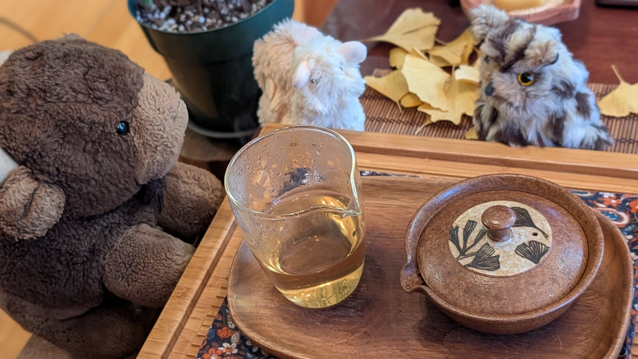 Photo taken by Soz Hammond of Being Tea. This tea experience is captured in the photo. It shows a plush bison seated at a tea table with a fairness pitcher of tea and a shibo with a gingko leaf pattern on the lid. Nearby are two other plushies--a white fuzzy snail and a cream and brown owl.