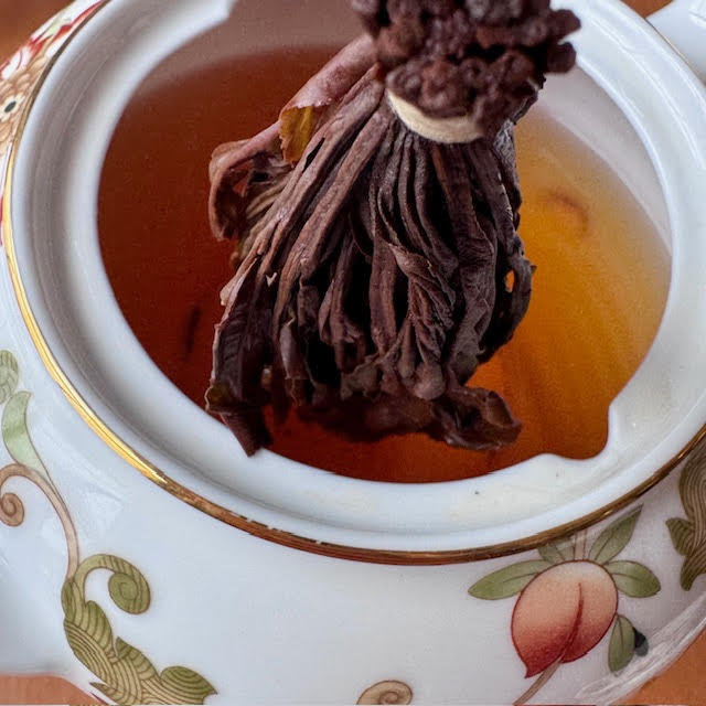 Sri Lankan black tea rods--long, dark brown  tea leaves tied at the top with string and a tea tag--being pulled out of a white, burnt orange, and green Wedgwood Oberon teapot after being steeped.